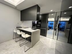 Cairnhill Nine (D9), Apartment #564571331
